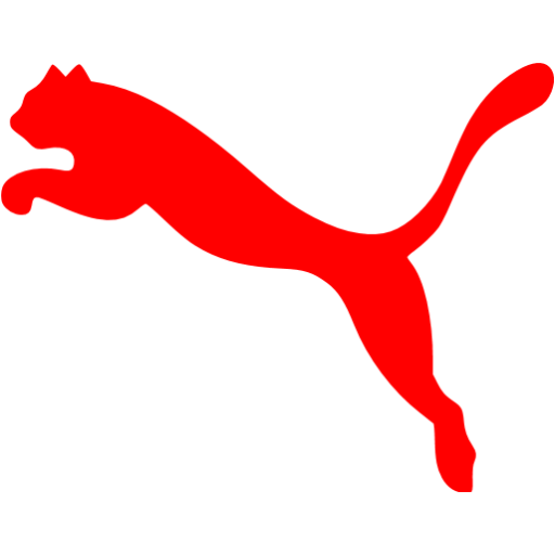 Puma Photo